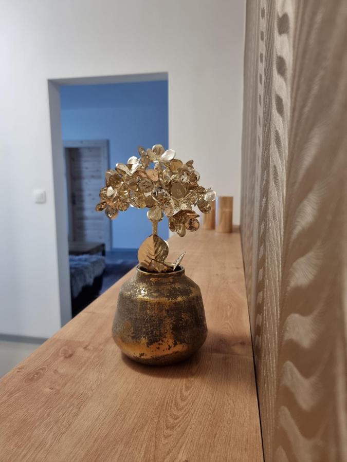 Bivio Apartment Dolna Banská Štiavnica Buitenkant foto